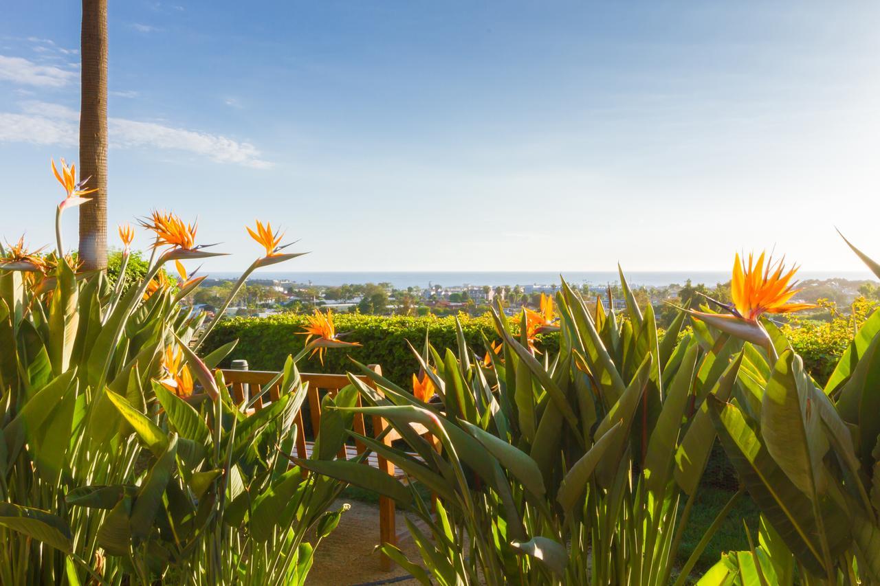 Grand Pacific Palisades Resort Carlsbad Esterno foto